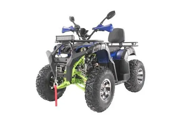 Picture of the author