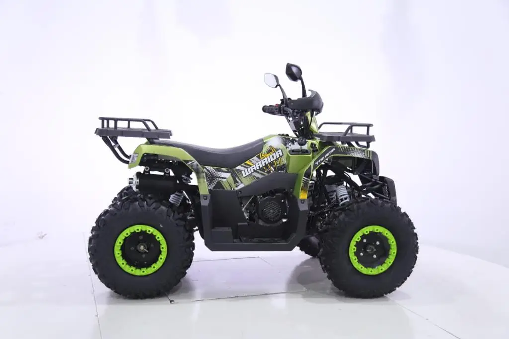 Picture of the author