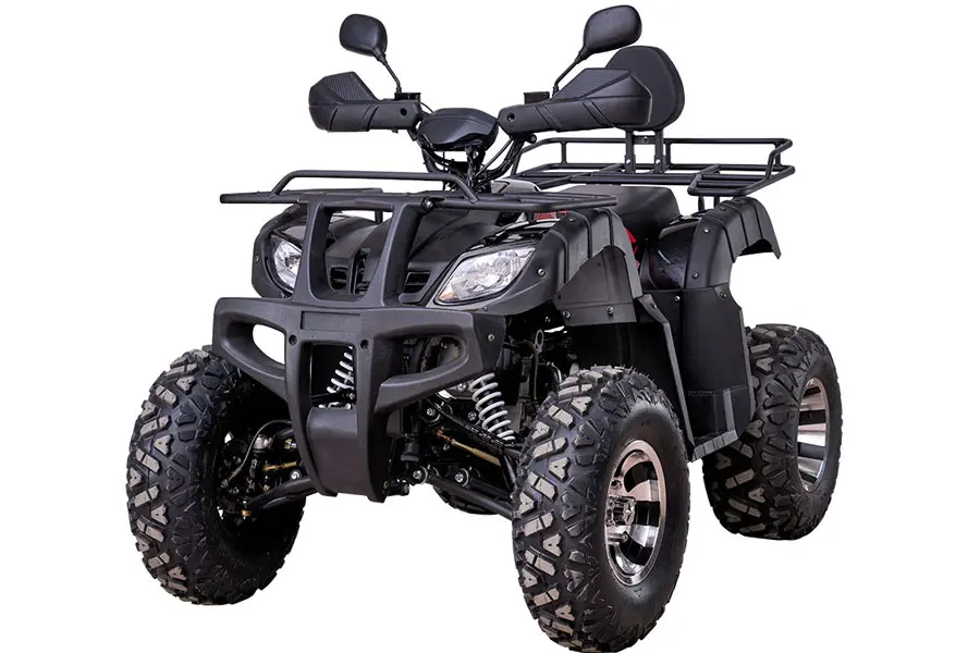 Picture of the author