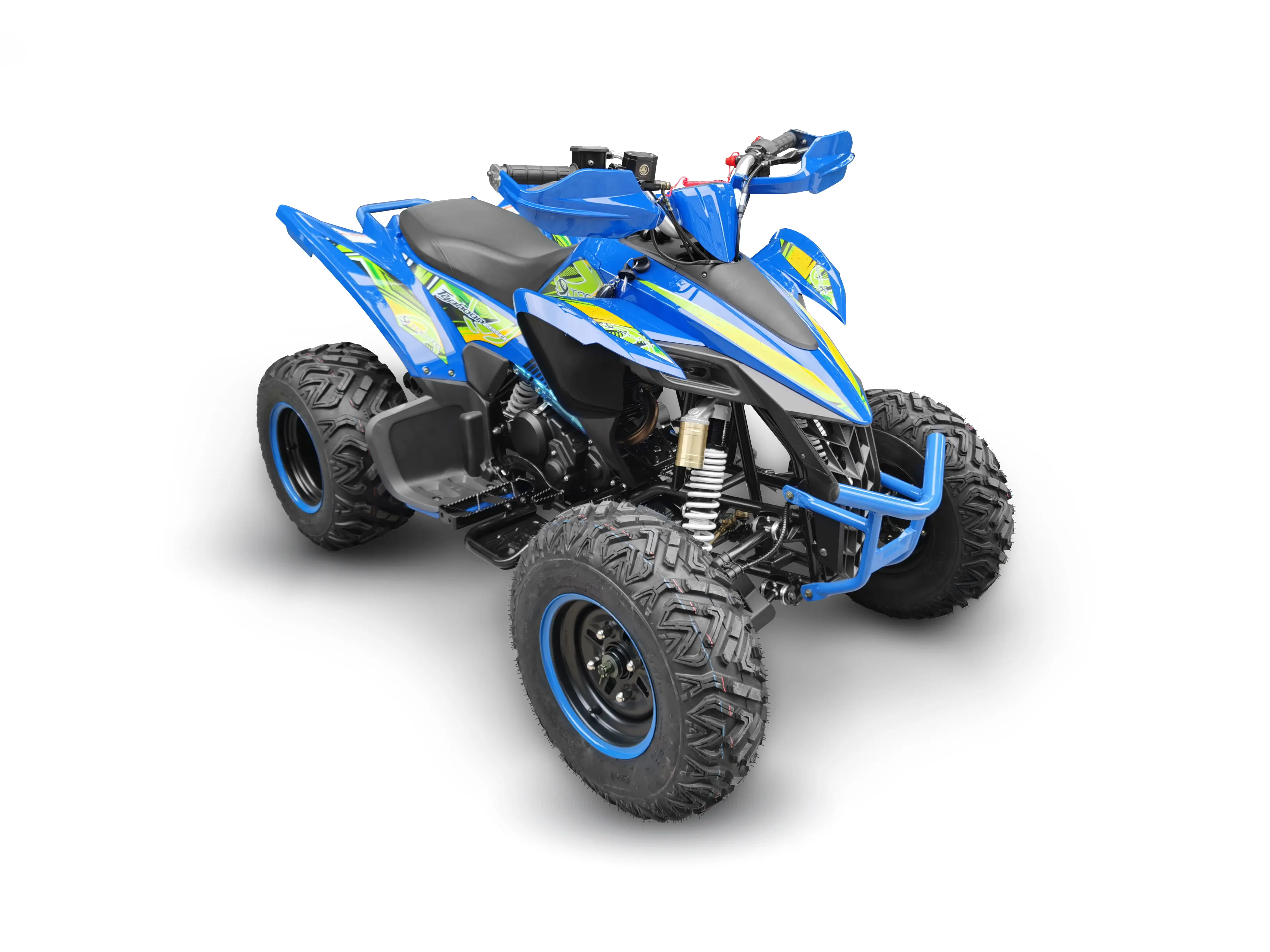 Picture of the author